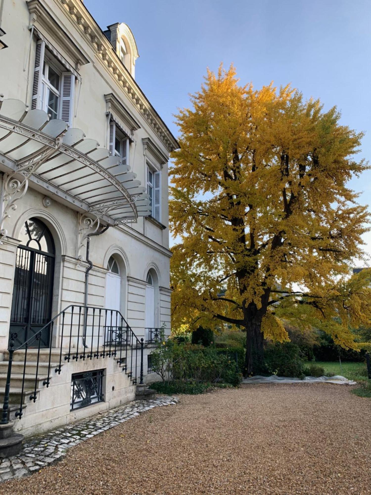 A L'Abri Du Ginkgo Apartment Tours Luaran gambar