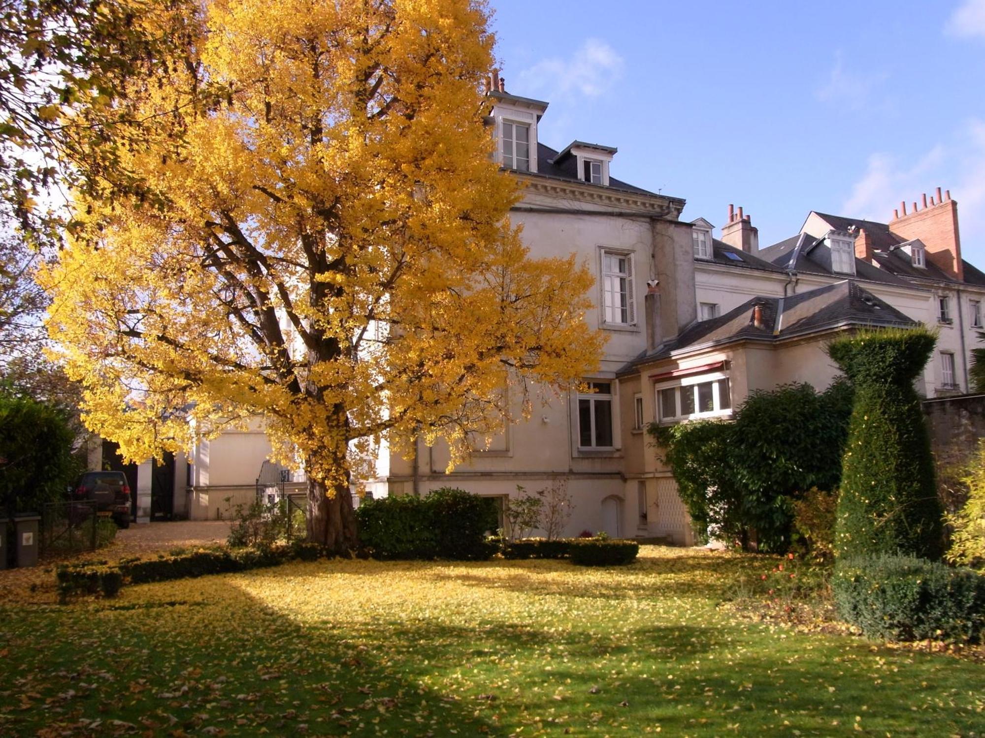 A L'Abri Du Ginkgo Apartment Tours Luaran gambar